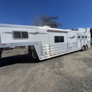 2009 Platinum Coach 3 H 16′ SW w/Outlaw Conversion